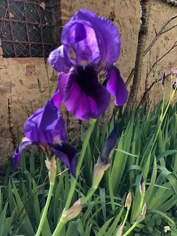 Agriturismo Relais Villa Passerini Grosseto